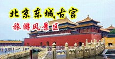 西瓜影院羞羞答答中国北京-东城古宫旅游风景区
